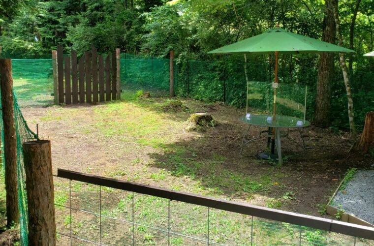 【山梨県】ドッグフリーサイトがあるキャンプ場(Dogs Garden WILDPARK)