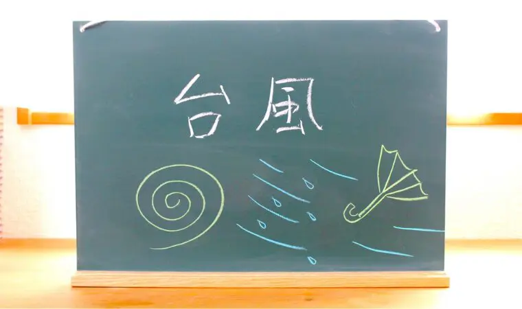 台風接近時のキャンプ場予約キャンセルの判断基準(過去の台風接近時のキャンセル事例)