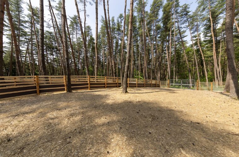 【山梨県】ドッグフリーサイトがあるキャンプ場(FOLKWOOD VILLAGE 八ヶ岳)