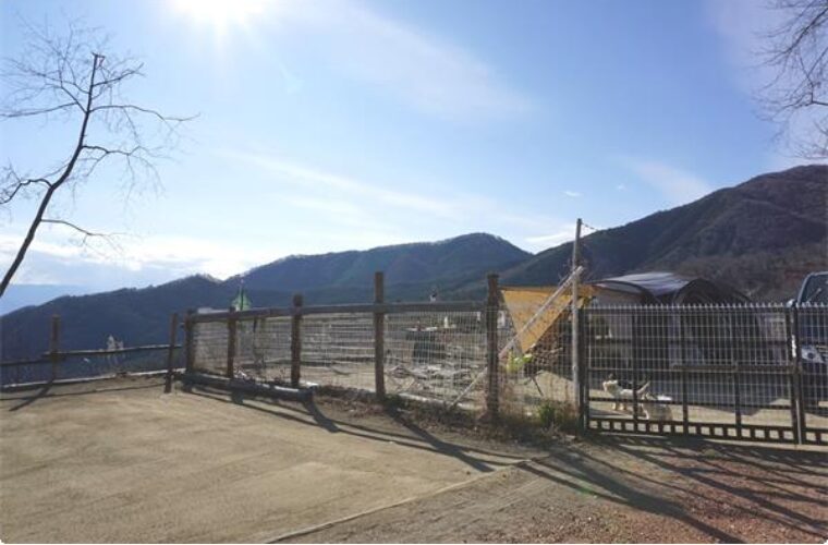 【山梨県】ドッグフリーサイトがあるキャンプ場(ほったらかしキャンプ場)