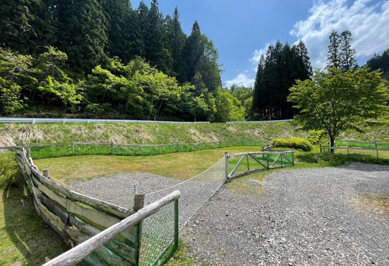 【長野県】ドッグフリーサイトがあるキャンプ場（【長野県】ドッグフリーサイトがあるキャンプ場（鬼無里Lanternvillage）
