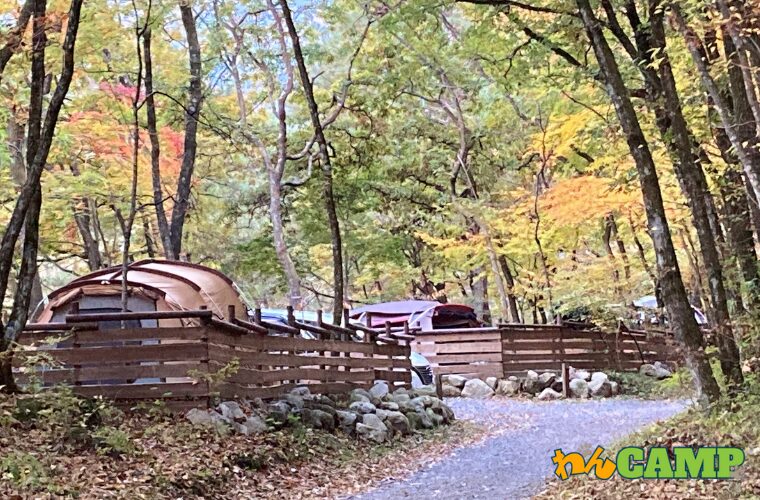 【山梨県】ドッグフリーサイトがあるキャンプ場(Foresters Village Kobitto)